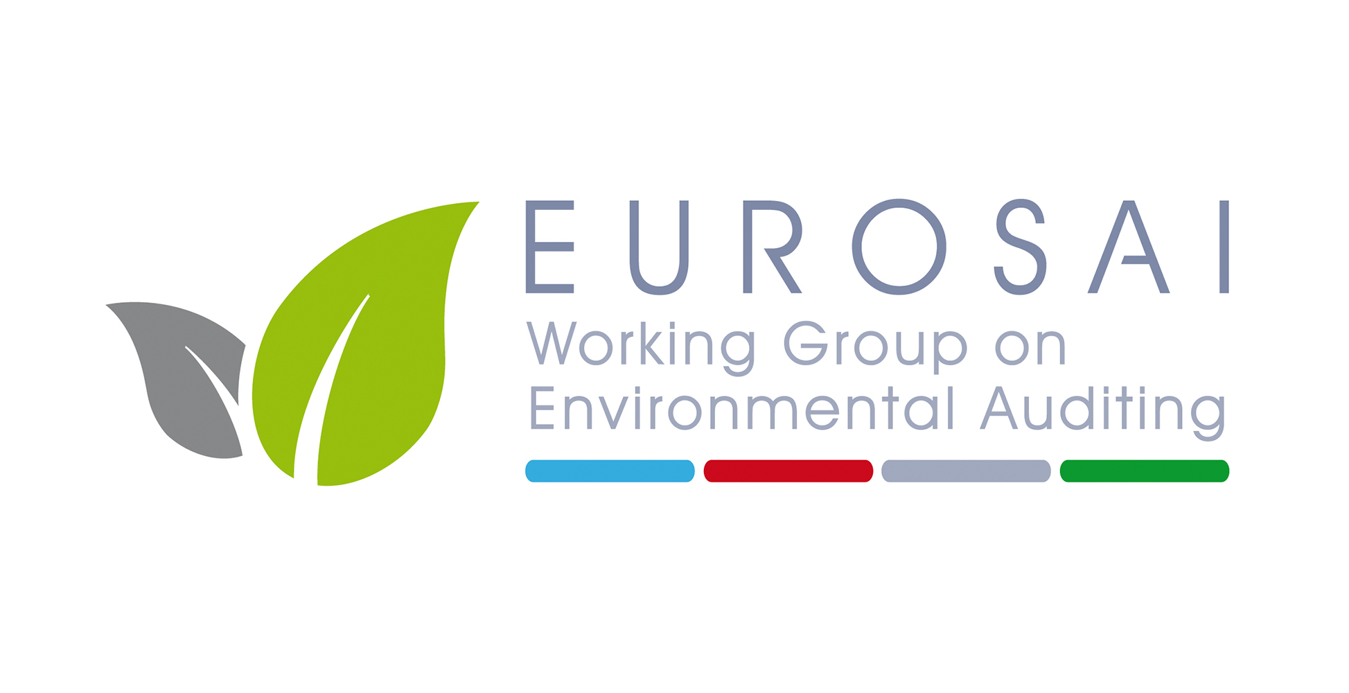 logo_audit_medio