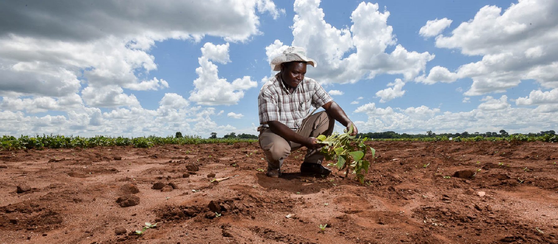 Agriculture-Afrique-Climat-e1516631000580